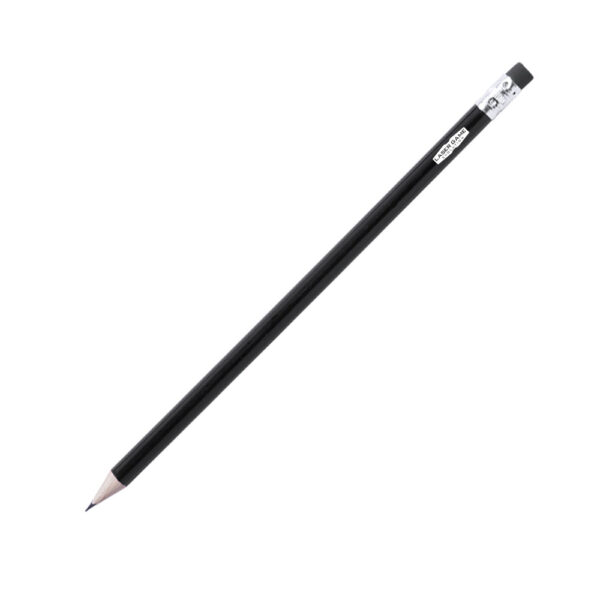 Crayon de papier LGE